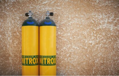 Nitrox Diver